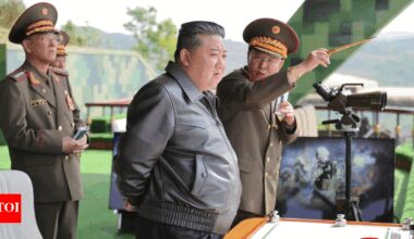 North Korea's 'accidental defectors' stuck south of border