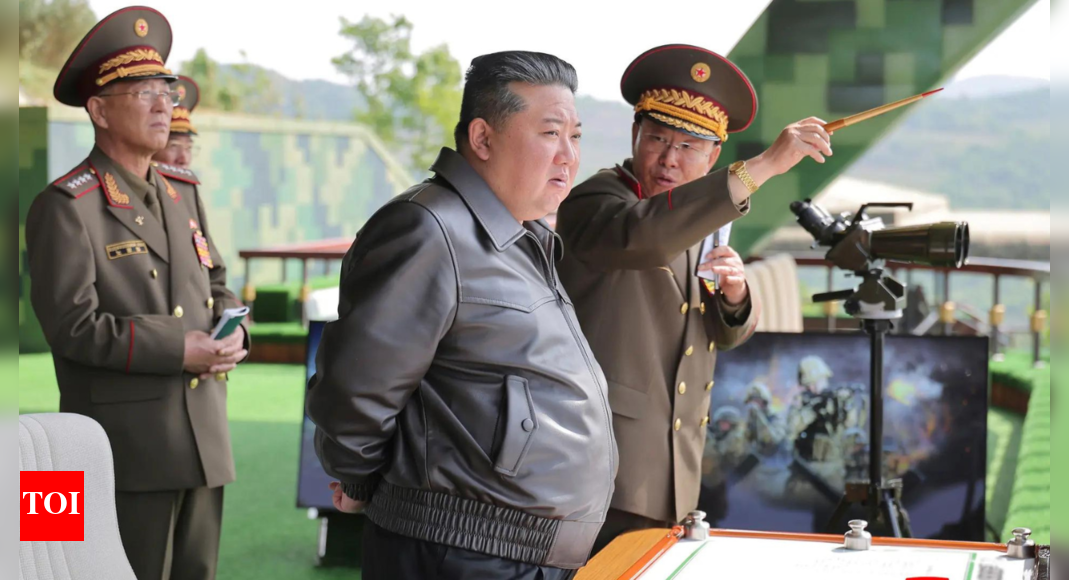 North Korea's 'accidental defectors' stuck south of border