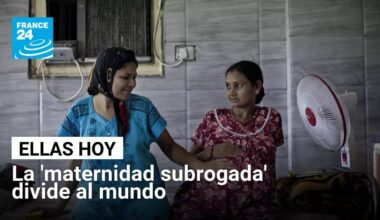 'Maternidad subrogada': un debate global lejos del consenso • FRANCE 24 Español