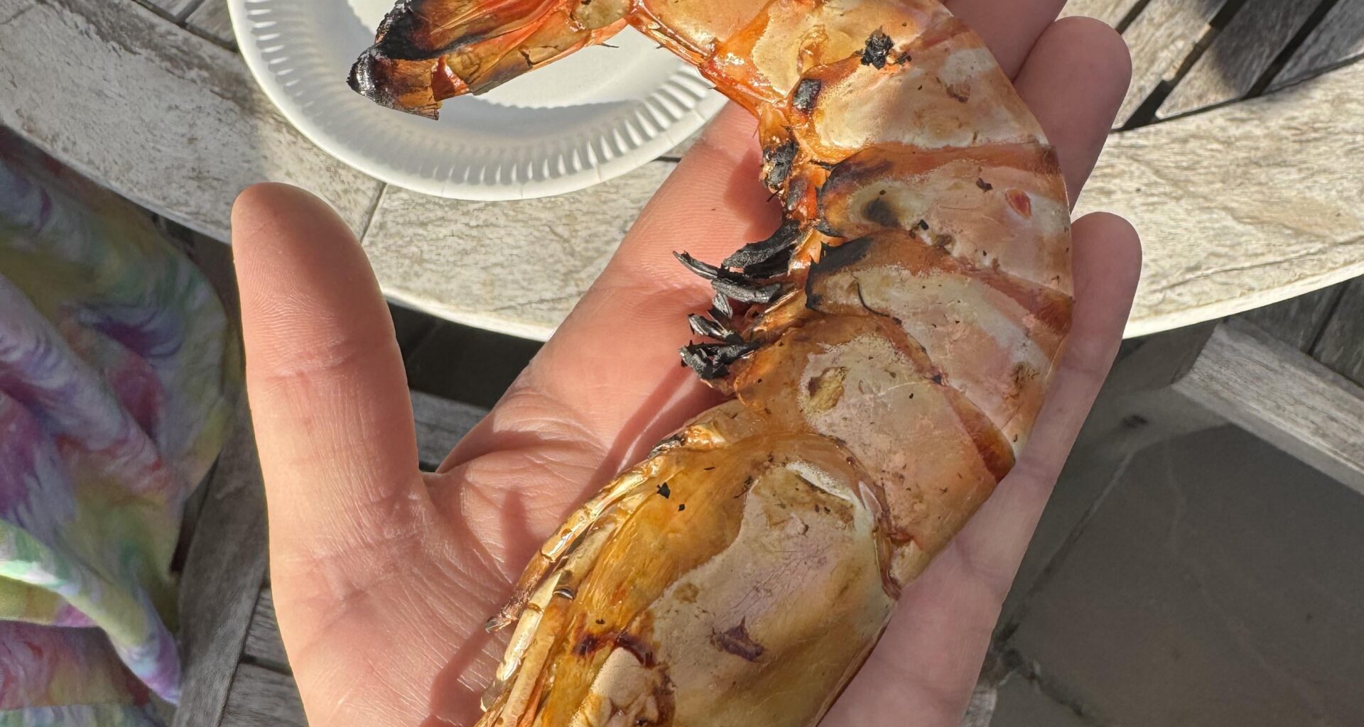 Dad is having a BBQ and smashed these huge prawns out!