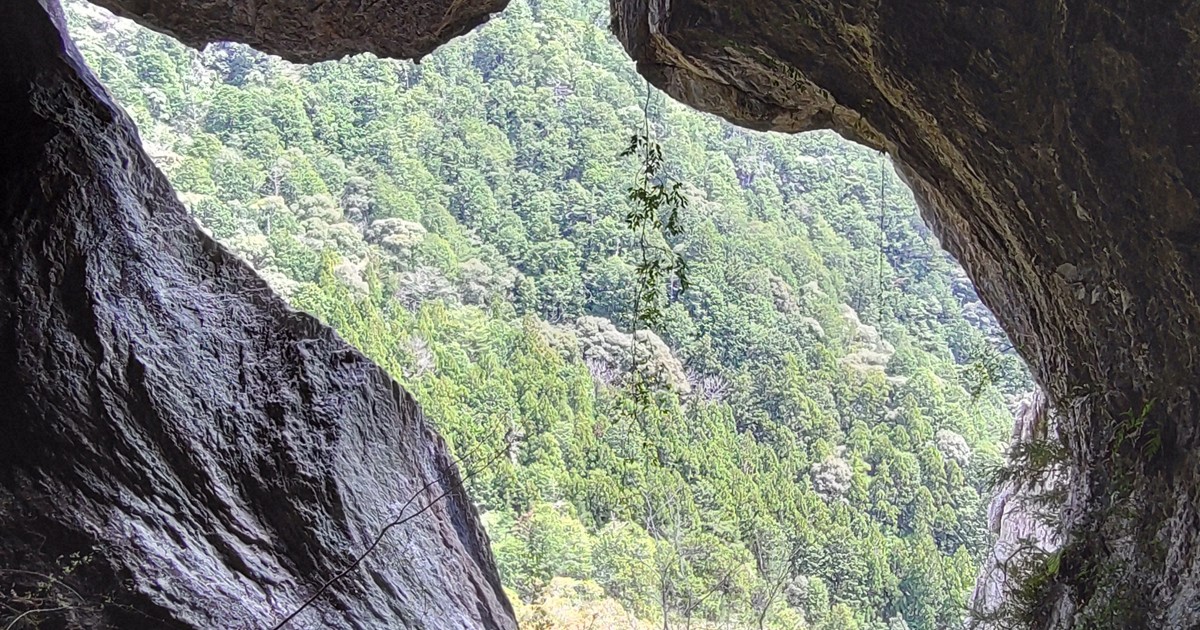 Cave mouth in Japan's Aichi Prefecture resembles giant cat, reminiscent of Ghibli films