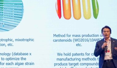 Thailand's Banpu and CP turn to Japan 'deep tech' for sustainability