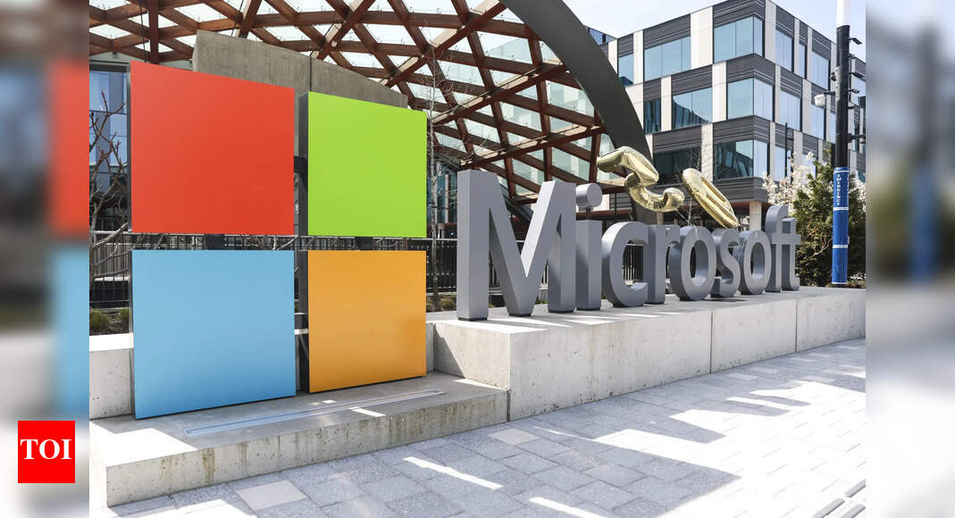 Microsoft's fired AI director to 6,000 laid off employees along with her: "These are people who…"