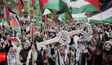 Germany: Dozens injured at Berlin pro-Palestinian protest
