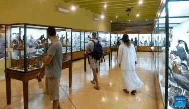 International Museum Day celebrated in Malta-Xinhua