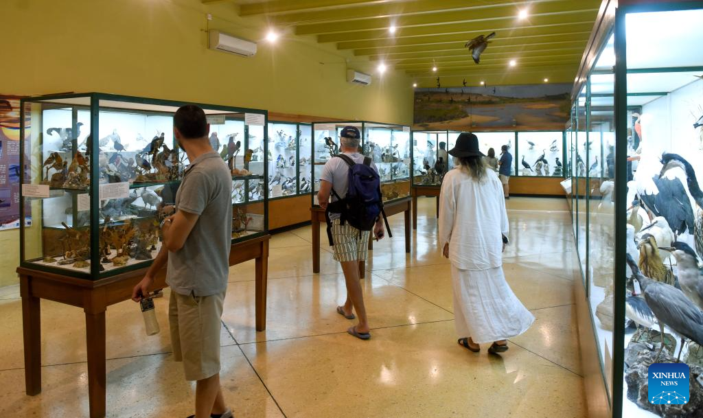 International Museum Day celebrated in Malta-Xinhua