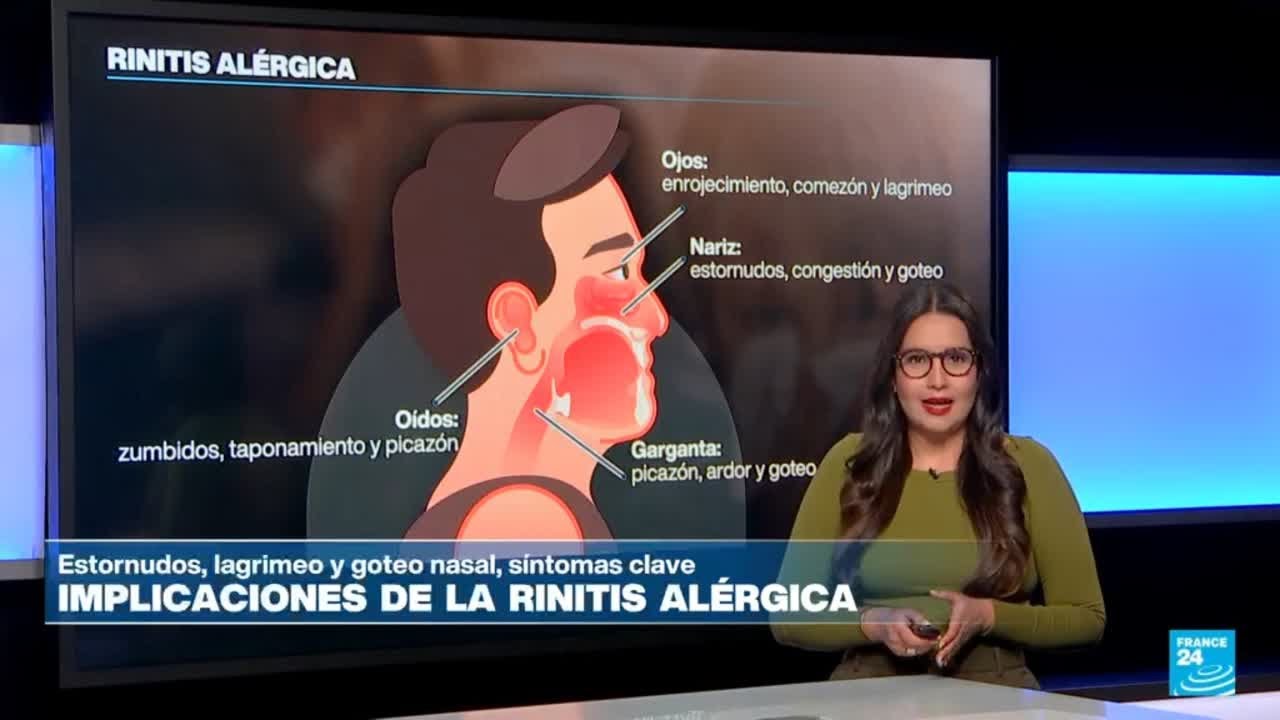 Claves para detectar y tratar la rinitis alérgica • FRANCE 24 Español