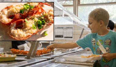 Photos of school lunch tray in South Korea sparks debate about how American kids eat