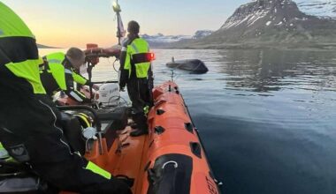 Four rescue ships respond simultaneously in unusually busy night for Landsbjörg