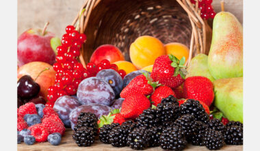 Berry yields in Moldova expected to drop in 2025, prices likely to rise