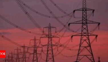 Will subsidised electricity rescue German industry? | World News
