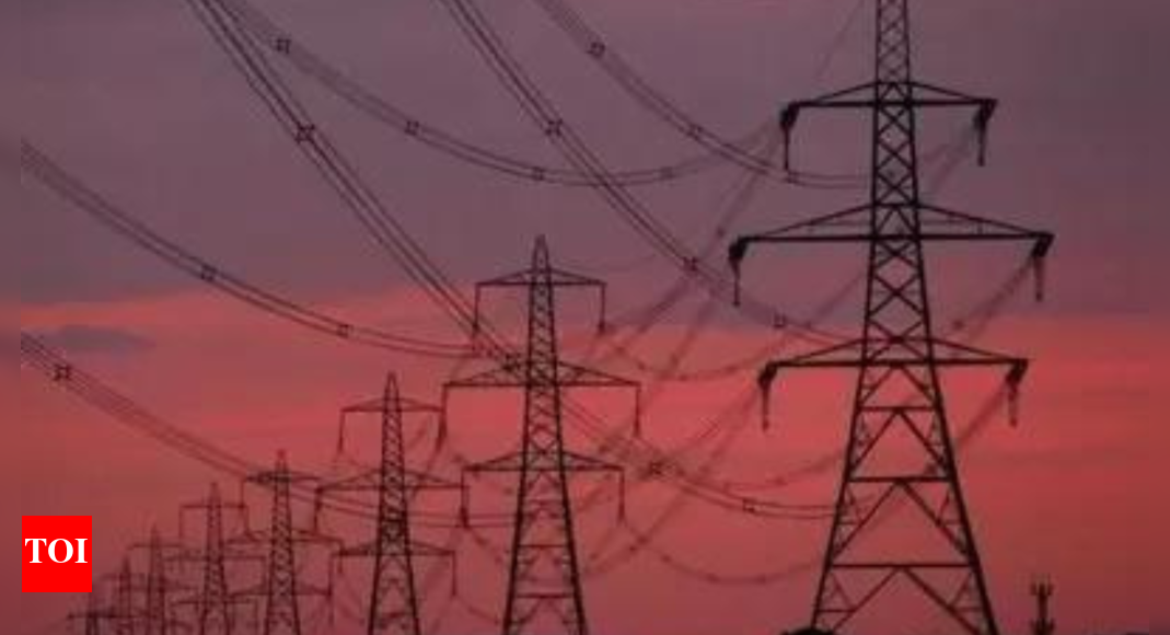 Will subsidised electricity rescue German industry? | World News