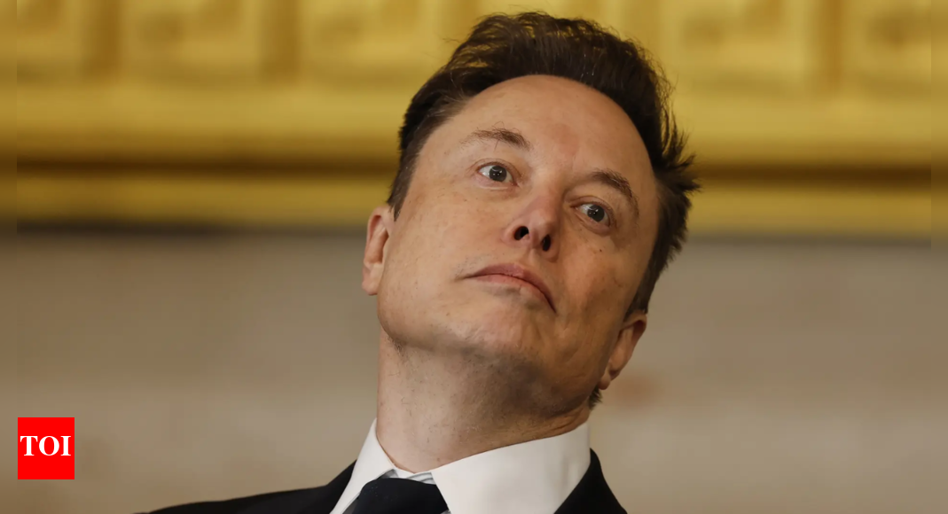 Angry Elon Musk to anchor who said ‘It’s not really making the dent’ about DOGE: So why are you attacking this, given …