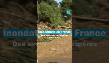 🌧️Inondations en France : des sinistrés désespérés dans le Var • FRANCE 24