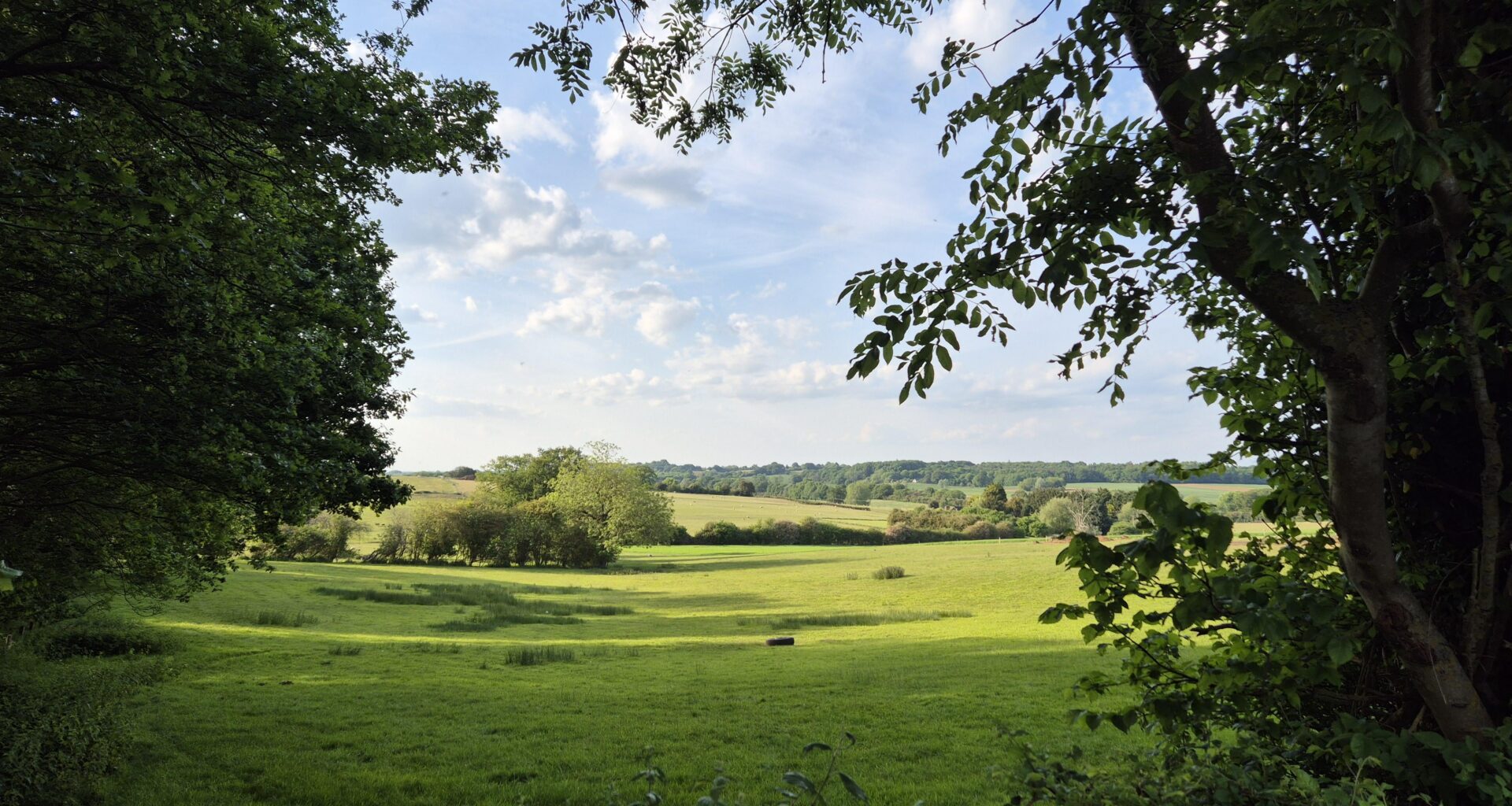 A picture of the countryside this evening.