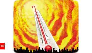 Over 50% Indians ‘very worried’ about climate impacts: Survey | Chandigarh News