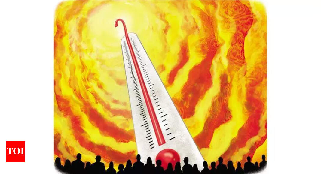 Over 50% Indians ‘very worried’ about climate impacts: Survey | Chandigarh News