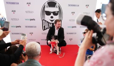 Icelandic sheepdog wins 'Palm Dog' in Cannes