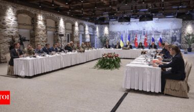 Syrian leader meets Turkish president in Istanbul | World News