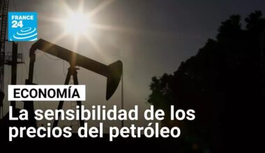 El petróleo navega en la incertidumbre global e impulsa la volatilidad de los precios • FRANCE 24