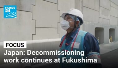 Cleaning up Fukushima: Decommissioning work continues on nuclear power plant • FRANCE 24 English