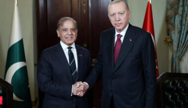 Pakistan PM Sharif meets Turkey President, thanks 'brother' for 'resolute support' during India-Pak tensions