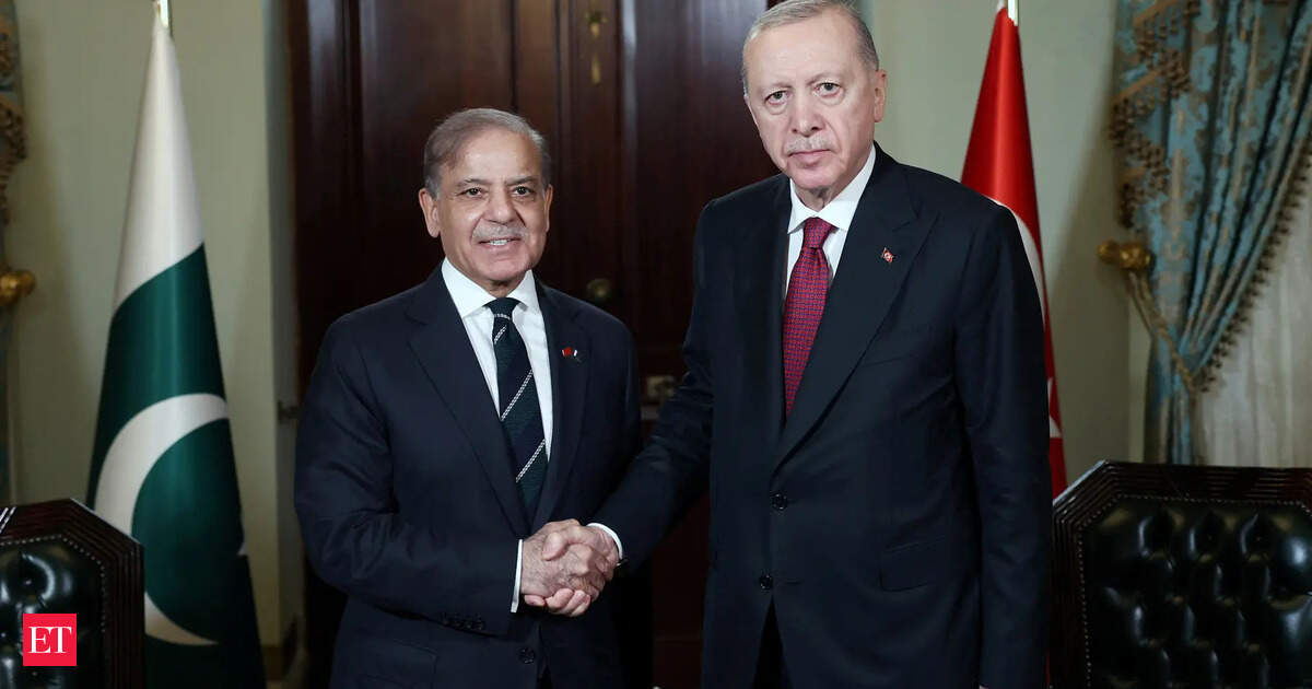 Pakistan PM Sharif meets Turkey President, thanks 'brother' for 'resolute support' during India-Pak tensions