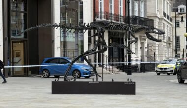 Phillips Gallery Robbery?