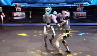 Chine : combats de robots humanoïdes • FRANCE 24