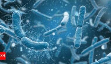 Scientists discover bacteria that 'breathe' electricity instead of oxygen |