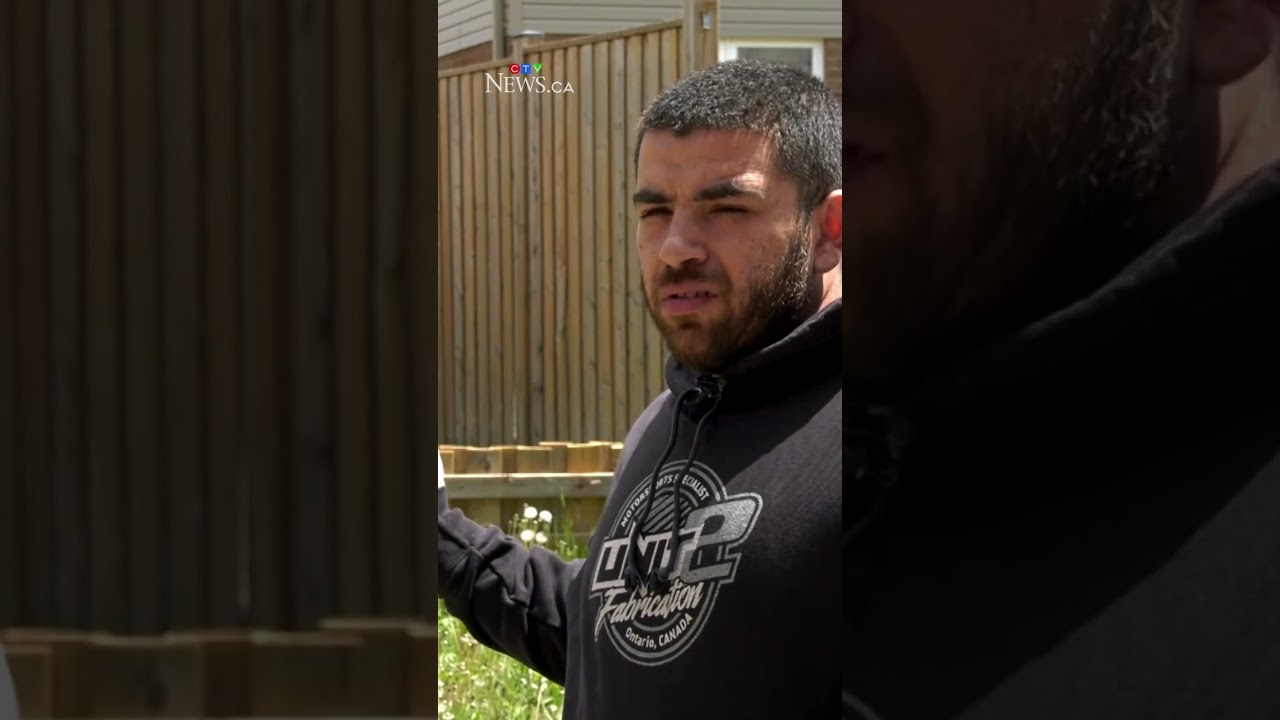 Fence causes rift between Kitchener neighbours