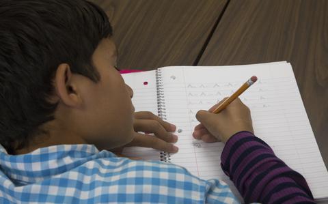 Review ordered of DOD support for military families’ use of homeschooling