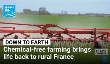 Chemical-free farming brings life back to rural France • FRANCE 24 English