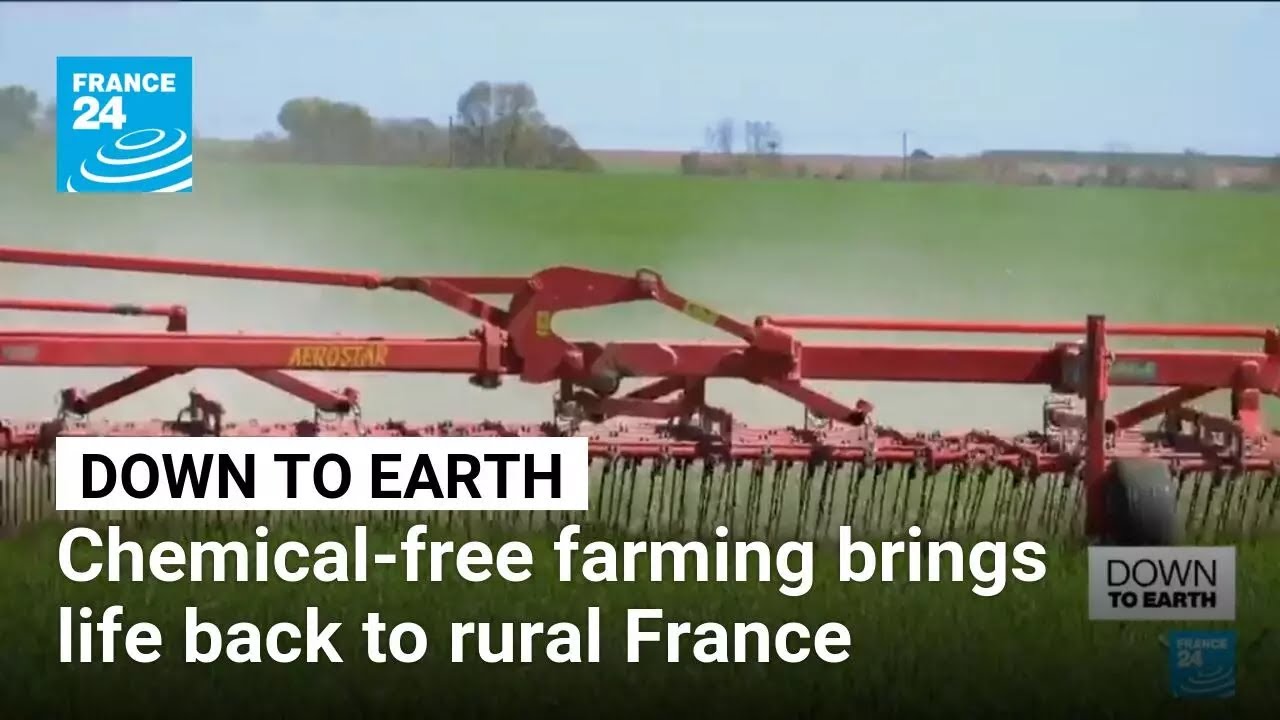 Chemical-free farming brings life back to rural France • FRANCE 24 English