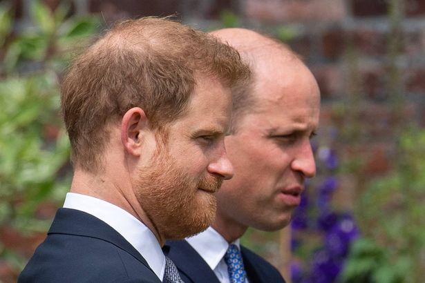 Harry and William have been at odds for quite a while now, but did but their differences aside to unveil a statue made in their late mother's honor 