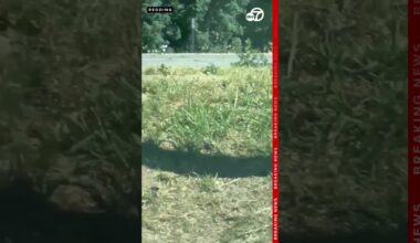 CAUGHT ON CAMERA: Man points rifle at officer during traffic stop