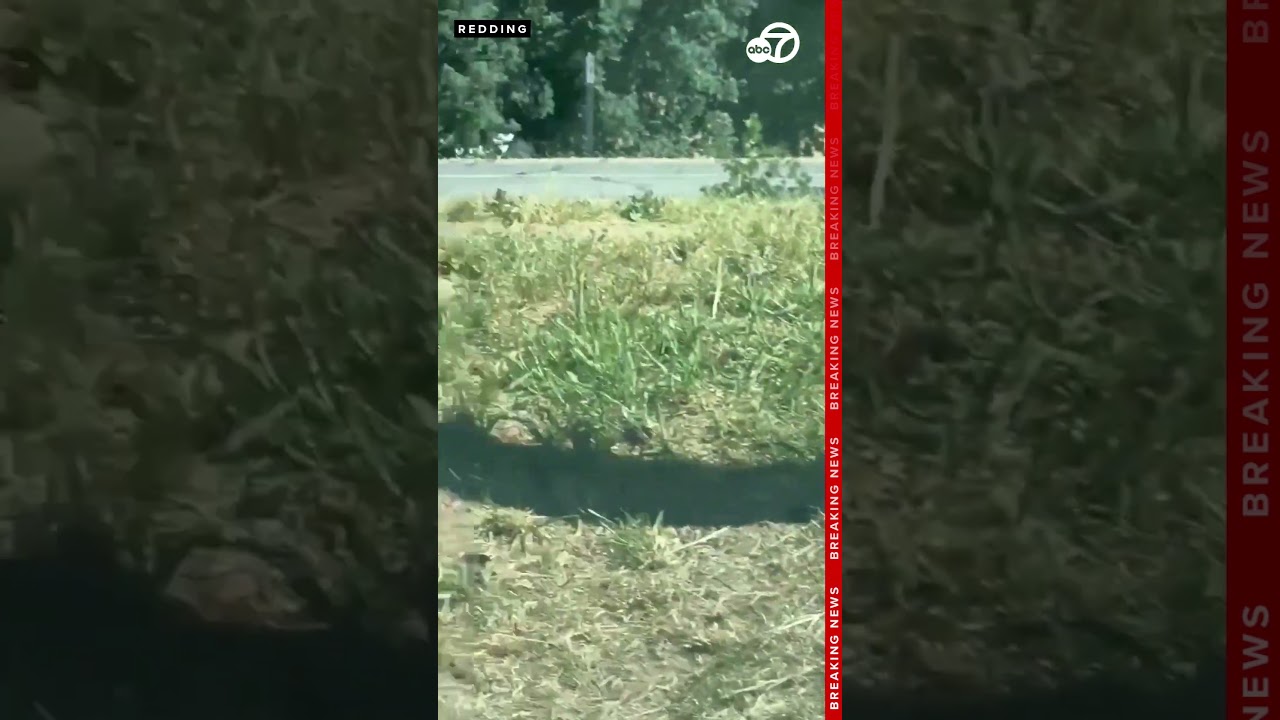 CAUGHT ON CAMERA: Man points rifle at officer during traffic stop