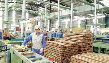 New Zealand bolsters timber exports to Vietnam