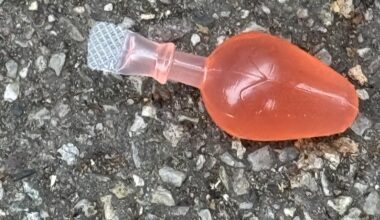 This was thrown at us - what is it?