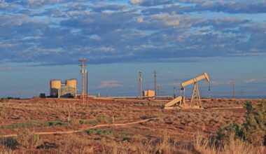 'Devastating Loss for Our Wild Places': Supreme Court Attacks Bedrock Environmental Law