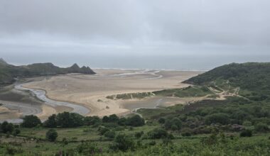 People of the world. The Gower