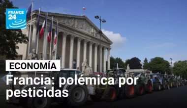 ¿Qué es el acetamiprid, el pesticida que Francia está a punto de volver a autorizar?