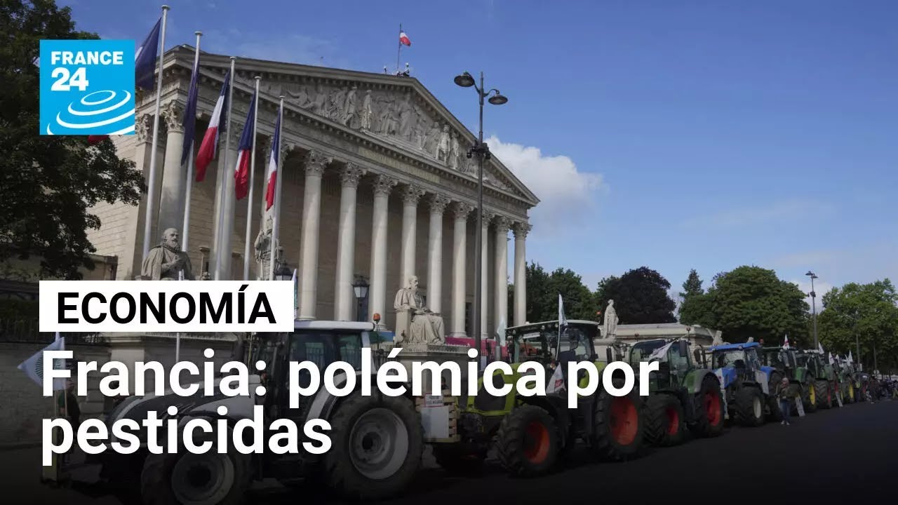 ¿Qué es el acetamiprid, el pesticida que Francia está a punto de volver a autorizar?