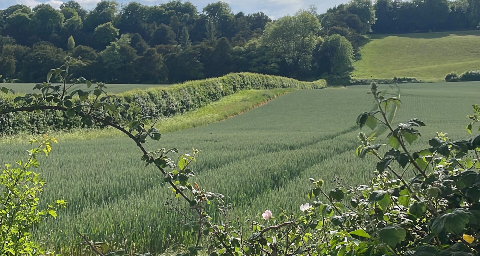 English countryside