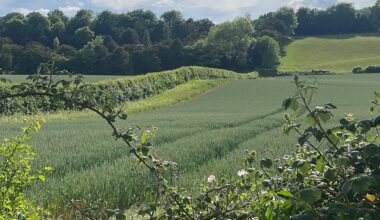 English countryside