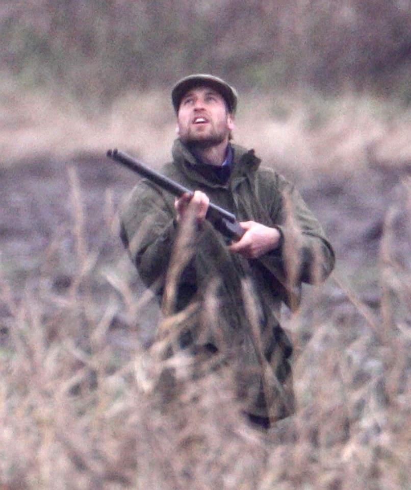 Prince William holding a shotgun while hunting.