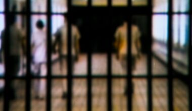 ‘Kidnapped’ youth’s brother also spent 2 months in Syria jail
