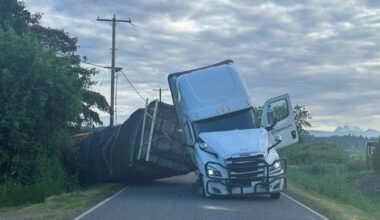 250 million bees escape after truck overturns in Washington state