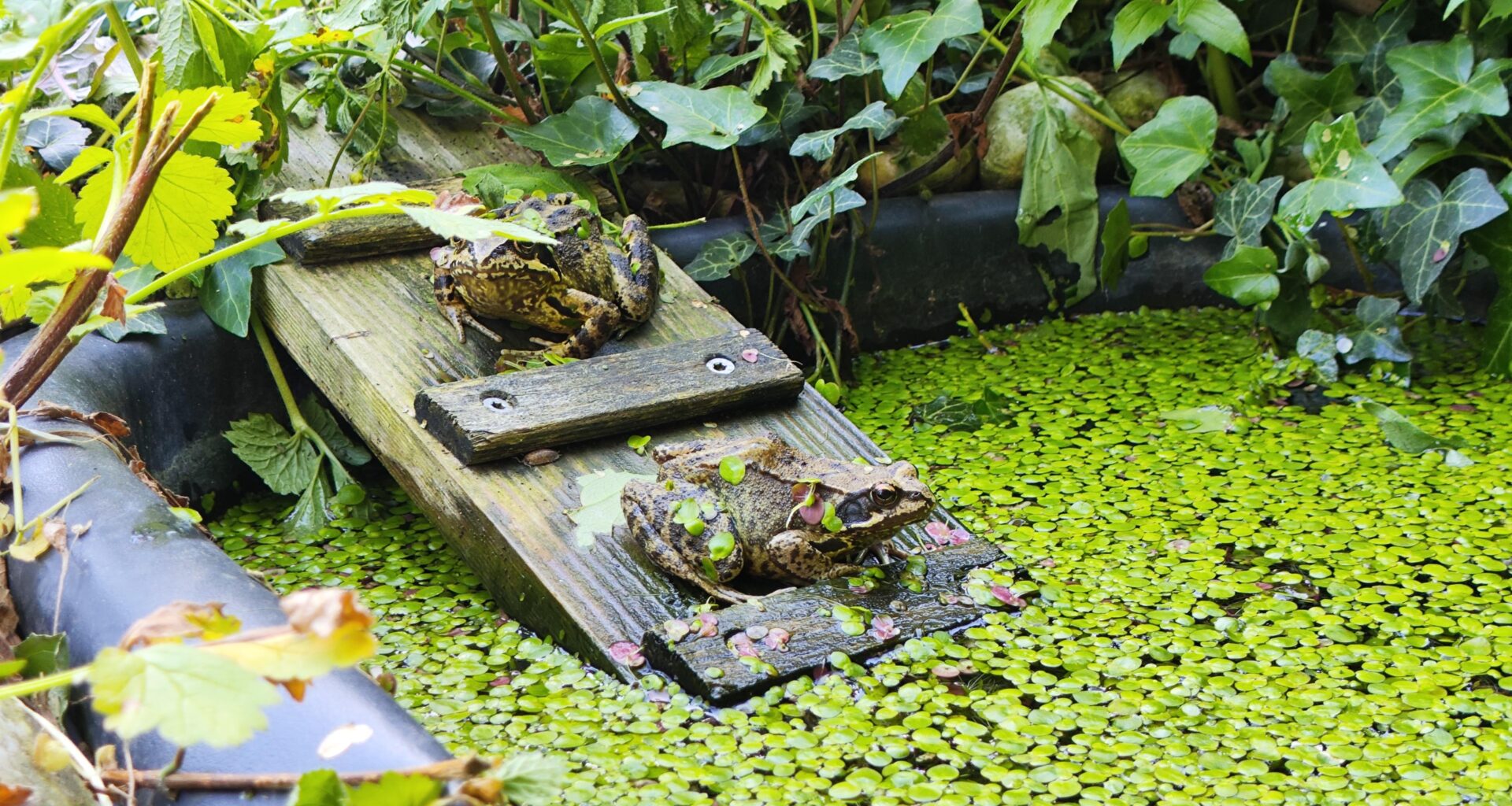 Rettungstreppen sind freizuhalten!