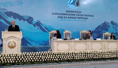 Global climate action yields real results, says Babayev at high-level Glacial Forum